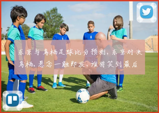 东京与鸟栖足球比分预测,东京对决鸟栖,悬念一触即发,谁将笑到最后