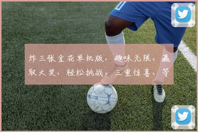 炸三张金花单机版，趣味无限，赢取大奖，轻松挑战，三重惊喜，等你来战